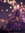 enha_fate7