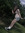Emersyn P