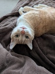 Sandra