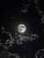 Lunaris