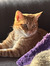 Jessica...