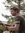 Stian