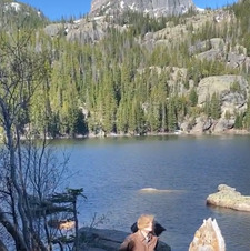 Garrelts