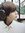 Kayreen