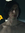 TryingReader