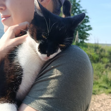 Anita