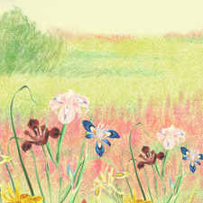 June
