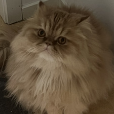 melker