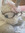 ⋆ ˚｡⋆୨୧˚