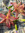 member photo member photo