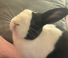 Sandra