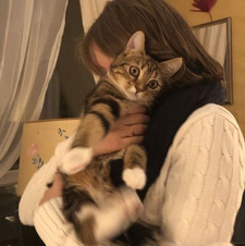 Ari ⋆˚