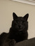 Lilli B...