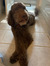 Avery S...
