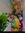 Madhura S