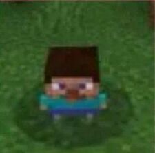 Homik