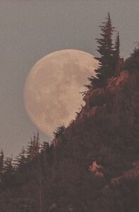 Em