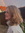 Clara Østergaard