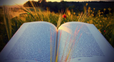 WorldOfBooks