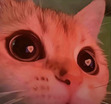 Leni