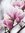 SilverBit_