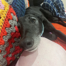 Sam