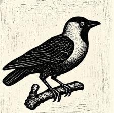AJ