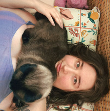 bellamy