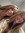 Kylee