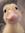 member photo member photo
