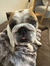 Britta ...