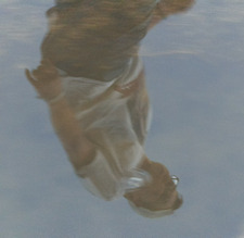 Eamon Faherty