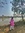 Hasna