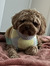 Cohan P...