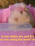 Esther