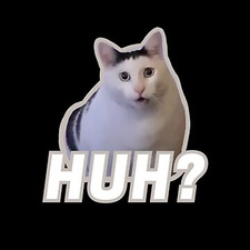 Kat