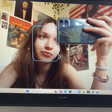 Cam