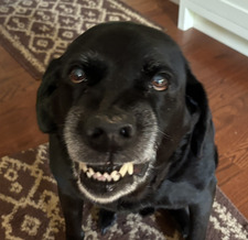 Jenny