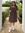 member photo member photo