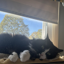 Julie