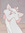 anida