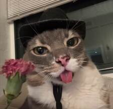 wiktoria