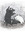 Skunk