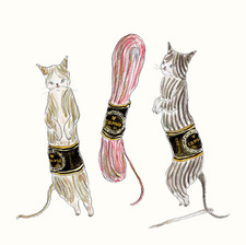 Corinne Wesner