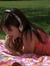 ceren
