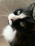 Abby