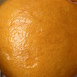Sekar