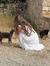 Lorina