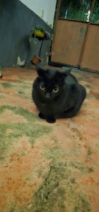 Sara