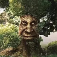 B Ham